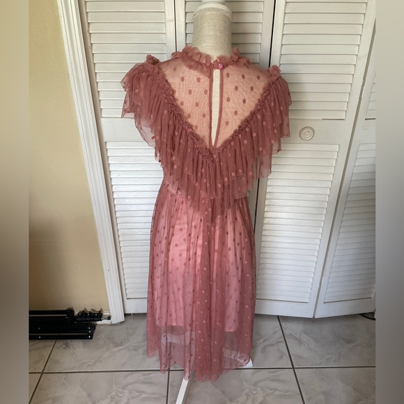 Wax Poetic Dolly Dress in Dusty Rose Mesh - Picture 2 of 2